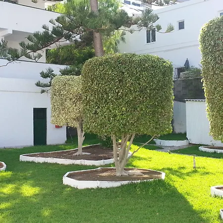 El Sombrero * Акантиладо-де-Лос-Хигантес