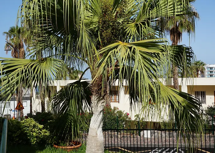 Apartmán El Sombrero